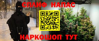 mdpv Лесосибирск